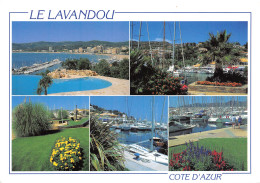 83-LE LAVANDOU-N°3803-B/0125 - Le Lavandou