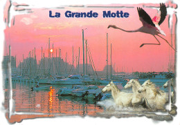 34-LA GRANDE MOTTE-N°3803-B/0083 - Altri & Non Classificati