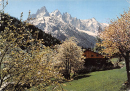 74-LE MONT BLANC-N°3803-B/0015 - Sonstige & Ohne Zuordnung