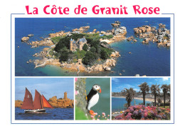 22-LA COTE DE GRANIT ROSE-N°3803-A/0375 - Sonstige & Ohne Zuordnung