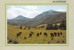15-CANTAL MONTS-N°3803-A/0293 - Andere & Zonder Classificatie