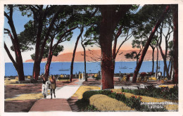 06-JUAN LES PINS-N°3802-E/0333 - Juan-les-Pins