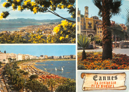 06-CANNES-N°3803-D/0257 - Cannes