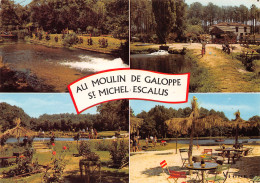 40-SAINT MICHEL ESCALUS-N°3803-C/0265 - Andere & Zonder Classificatie