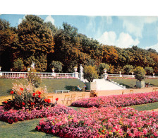 75-PARIS JARDIN ET TERRASSE DU PALAIS DU Luxembourg-N°3804-B/0111 - Autres & Non Classés