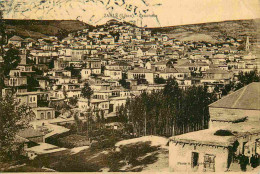 Liban - Zahlé - Panorama - CPA - Voir Scans Recto-Verso - Liban
