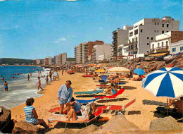 Espagne - Espana - Cataluna - Costa Brava - San Antonio De Calonge - Playa - Plage - CPM - Voir Scans Recto-Verso - Gerona