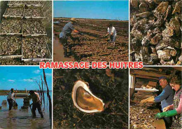 Metiers - Ostréiculture - Culture Des Huitres - Ostréiculteur - Ramassage Des Huitres - Multivues - CPM - Voir Scans Rec - Pêche