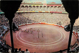 Corrida - Espagne - España - Interior Plaza De Toros - Carte Neuve - CPM - Voir Scans Recto-Verso - Corrida