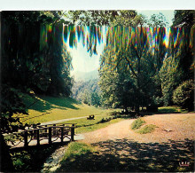 65 - Bagnères De Bigorre - Le Vallon De Salut - CPM - Voir Scans Recto-Verso - Bagneres De Bigorre