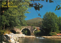 64 - Ascain - Le Pont Romain - Carte Neuve - CPM - Voir Scans Recto-Verso - Ascain