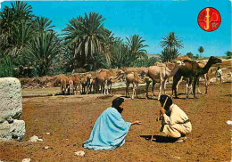 Maroc - Hommes Bleus Et Leurs Chameaux à L'oasis - Carte Neuve - CPM - Voir Scans Recto-Verso - Other & Unclassified