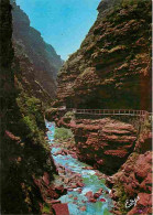 06 - Les Gorges Du Cians - Route De Touet Sur Var à Beuil-Valberg - CPM - Voir Scans Recto-Verso - Autres & Non Classés