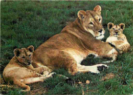 Animaux - Fauves - Lion - Réserve Du Pal De Saint Pourçain Sur Bresbre - Lionne Et Ses Petits - Zoo - CPM - Carte Neuve  - Leeuwen