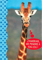 Animaux - Girafes - Carte Humoristique - CPM - Voir Scans Recto-Verso - Giraffen