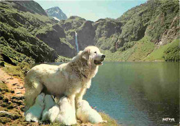 Animaux - Chiens - Chien Des Pyrénées Allaitant Ses Petits - Chiots - Flamme Postale - Lac - Montagnes - CPM - Voir Scan - Dogs