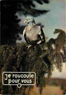 Animaux - Oiseaux - Pigeons - Carte Humoristique - CPM - Voir Scans Recto-Verso - Vogels