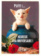 Animaux - Chats - Chatons - Carte Humoristique - CPM - Voir Scans Recto-Verso - Chats