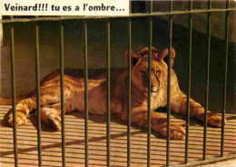 Animaux - Fauves - Lion - CPM - Voir Scans Recto-Verso - Leones