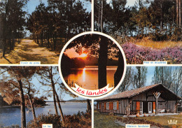 40-LES LANDES MULTI VUES-N°3804-D/0301 - Andere & Zonder Classificatie