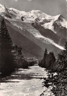 74-CHAMONIX-N°3804-D/0223 - Chamonix-Mont-Blanc