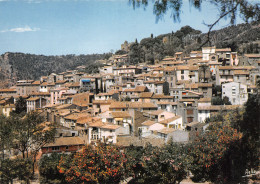 83-BORMES LES MIMOSAS-N°3804-C/0069 - Bormes-les-Mimosas