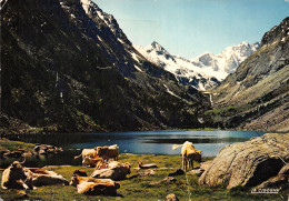 65-LAC DE GAUBE-N°3804-B/0393 - Sonstige & Ohne Zuordnung