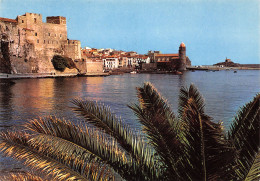 66-COLLIOURE-N°3804-B/0335 - Collioure