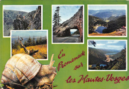 88-LES HAUTES VOSGES MULTI VUES-N°3804-B/0347 - Autres & Non Classés