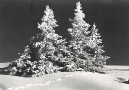 74-PAYSAGE DES ALPES-N°3804-B/0313 - Otros & Sin Clasificación