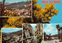 66-AMELIE LES BAINS-N°3804-B/0231 - Otros & Sin Clasificación