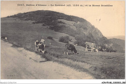 AJNP5-88-0485 - BALLON D'ALSACE - Le Sommet Et La Borne Frontière - Sonstige & Ohne Zuordnung