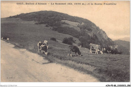 AJNP5-88-0472 - BALLON D'ALSACE - Le Sommet Et La Borne Frontière - Altri & Non Classificati