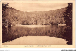 AJNP5-88-0478 - BALLON D'ALSACE - L'étang Du Petit-haut - Sonstige & Ohne Zuordnung