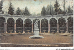 AJNP3-78-0311 - VERSAILLES - Le Parc De Versailles - Les Colonnades - Versailles