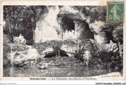 AJNP3-78-0300 - VERSAILLES - Le Bosquet Des Bains D'apollon - Versailles