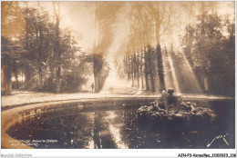 AJNP3-78-0287 - VERSAILLES - Autour Du Château - Bassin De Saturne - Versailles (Castillo)