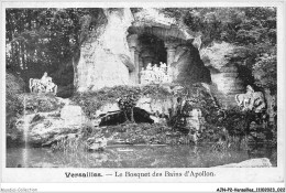 AJNP2-78-0123 - VERSAILLES - Le Bosquet Des Bains D'apollon - Versailles