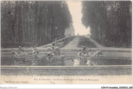 AJNP1-78-0104 - VERSAILLES - Parc De Versailles - Le Bassin Des Dragons Et L'allée Des Marmousets - Versailles