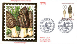 FDC 1987 CHAMPIGNON MORILLE CONIQUE - 1980-1989