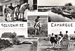 13-CAMARGUE-N°3805-A/0309 - Andere & Zonder Classificatie