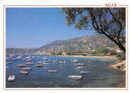 83-AGAY-N°3805-A/0185 - Other & Unclassified