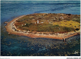 AJNP6-56-0658 - LE GOLFE DU MORBIHAN - L'île D'er Lanic Et Son Double Cromlec'h - Altri & Non Classificati