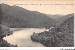 AJNP5-88-0548 - BALLON D'ALSACE - Versant Alsacien - Lac D'alfeld - Otros & Sin Clasificación