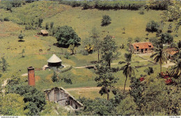 [97]  MARTINIQUE - Domaine De La Pagerie - Vue Générale -  Cpsm ± 1960 ( ͡♥ ͜ʖ ͡♥) ♥ - Otros & Sin Clasificación