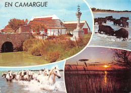 13-CAMARGUE-N°3805-D/0245 - Other & Unclassified