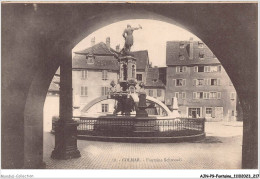 AJNP9-1100 - FONTAINE - Colmar - Fontaine Schwendi - Autres & Non Classés