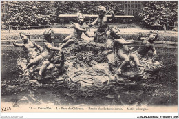 AJNP9-1094 - FONTAINE - Versailles - Le Parc Du Château - Bassin Des Enfants Dorés - Motif Principal - Autres & Non Classés