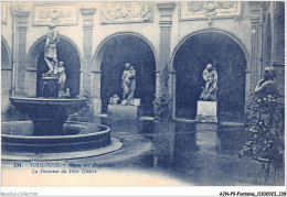 AJNP9-1061 - FONTAINE - Toulouse - Musée Des Augustins - La Fontaine Du Petit Cloître - Sonstige & Ohne Zuordnung