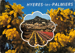 83-HYERES LES PALMIERS-N°3806-A/0341 - Hyeres